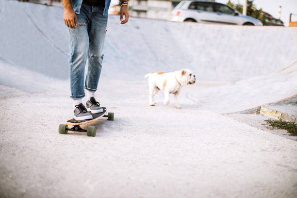 istock Spending Leisure With His Pet at Skateboard Park 1049084192