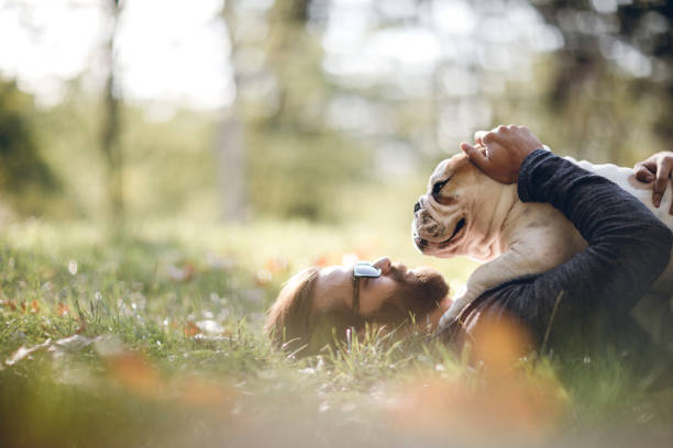 Man And Dog Enjoying Sunny Day In Nature Handsome Bearded Man And His Bulldog Spending Free Time At Park On Sunny Day hipster dog stock pictures, royalty-free photos & images