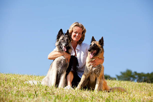istock smiling beautiful woman with Belgian shepherds 104908644