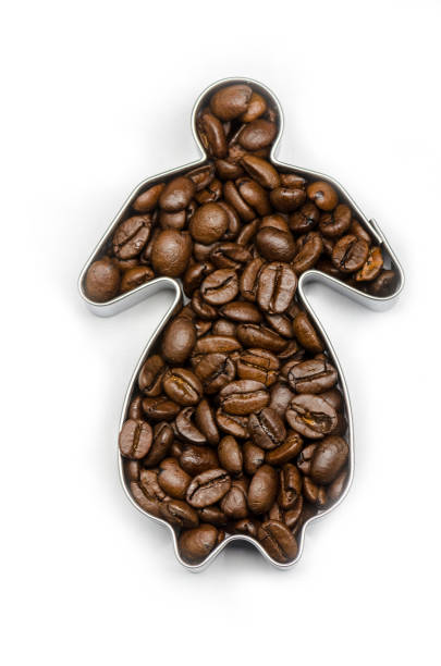 istock coffee beans in a female shape on white background, isolated 1049104586