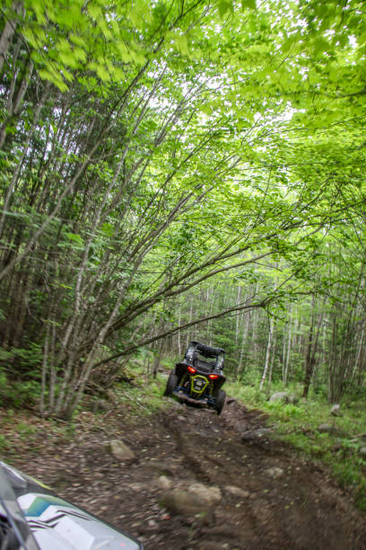 istock Rzr riding under branches hanging over trail 1049113466