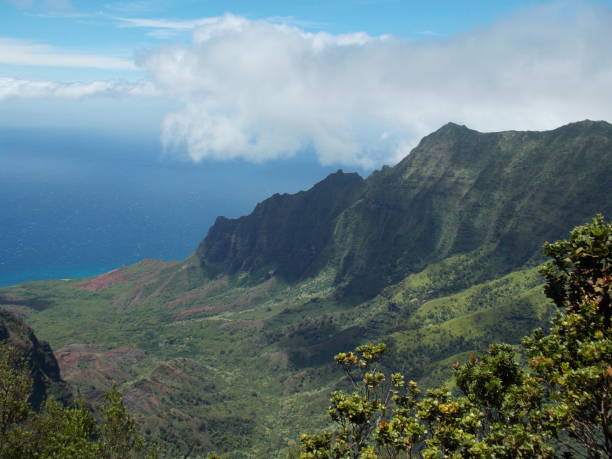 istock Cliffs of the Na Pali Coast 1049120436