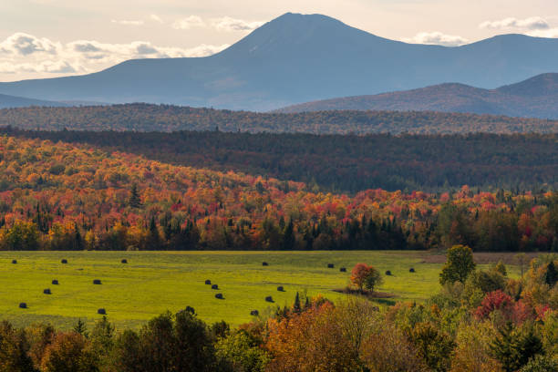 Patten Maine fall foliage Fall foliage in Maine mt katahdin stock pictures, royalty-free photos & images