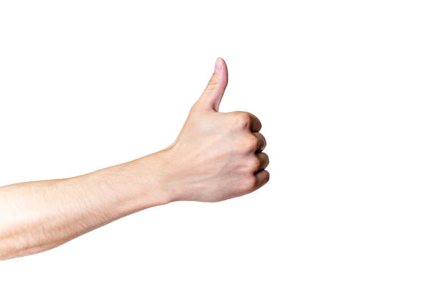 istock Male hand gesture and sign collection isolated over white background 1049123368
