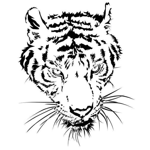 160+ Siberian Tiger Tattoos Cartoon Illustrations, Royalty-Free Vector ...