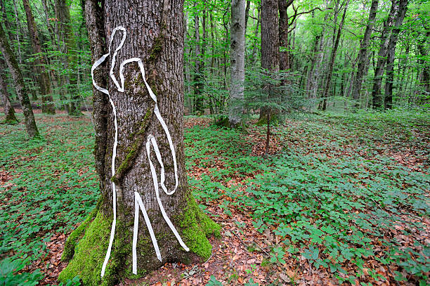 A scene of crime figure on a tree trunk in woodland. Space for text to the right, against the undergrowth.