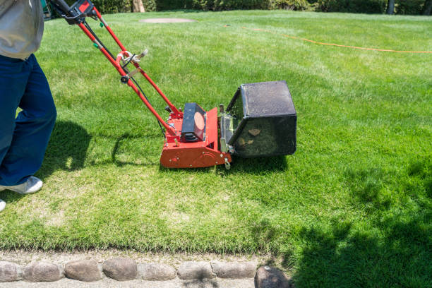 istock Cutting the grass with electric lawn mower 1049140454