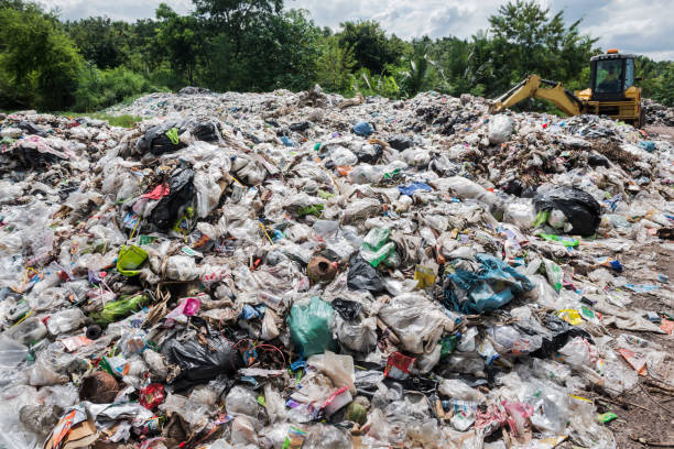 śmieci na wysypisku. problem środowiska. - landfill garbage dump garbage bird zdjęcia i obrazy z banku zdjęć