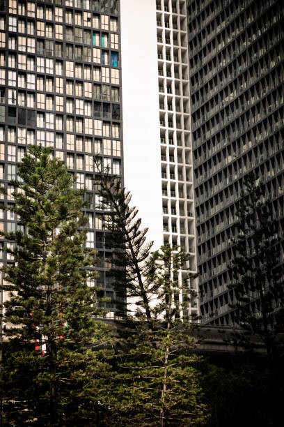 istock Architectural detail from modern tall building exterior 1049171456