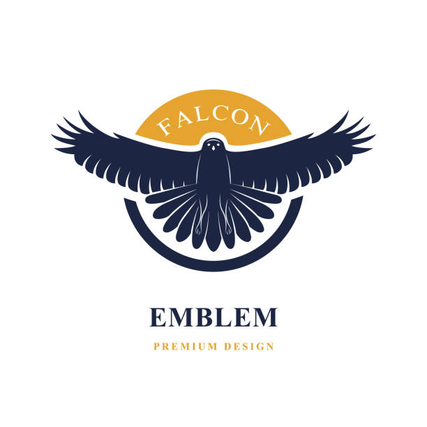 Flying Falcon. Elegant logo template. Silhouette of a wild bird with spread wings. Retro style. Art emblem. Vector illustration Vector illustration of Flying Falcon. Elegant logo template. Silhouette of a wild bird with spread wings. Retro style. Art emblem. falcon bird stock illustrations