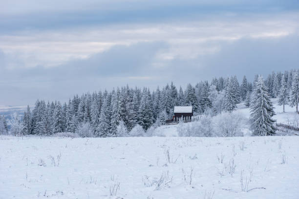 istock Winter countryside landscape 1049174780