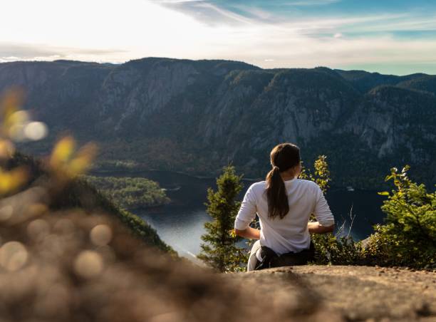 on the top - saguenay imagens e fotografias de stock