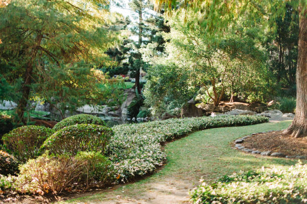 istock Nerima Japanese Gardens Ipswich 1049180096
