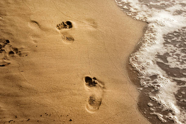 istock Close up footprints on shiny sandy beach 1049186898