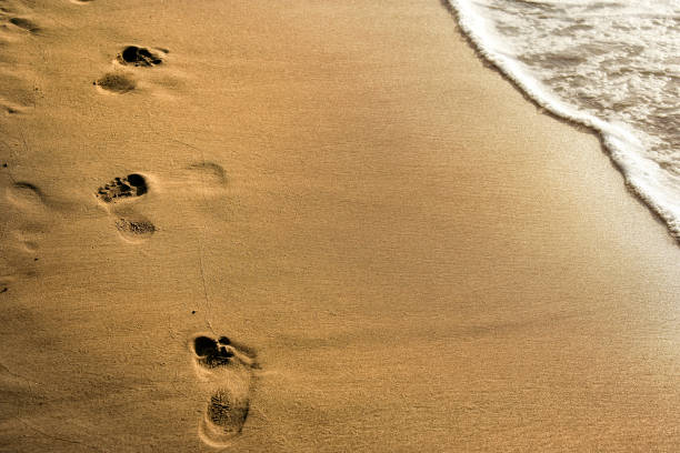 istock Close up footprints on shiny sandy beach 1049186956