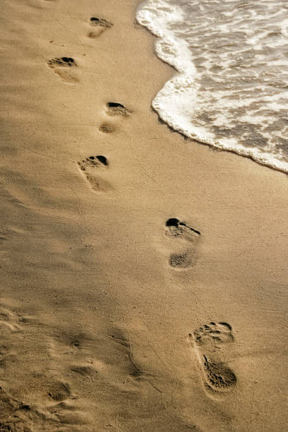 istock Close up footprints on shiny sandy beach 1049189198