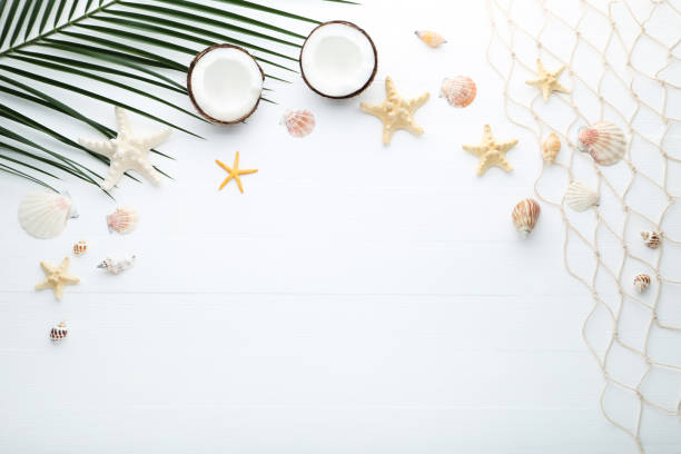 istock Different seashells with coconut and palm leaf on wooden table 1049194974