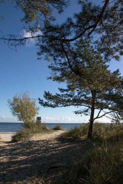 istock peaceful sandy beach on the seashore 1049204434