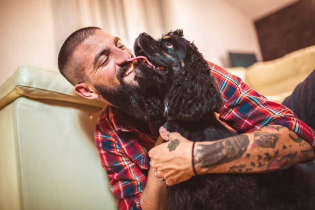 istock Handsome man with cute dog at home 1049204570
