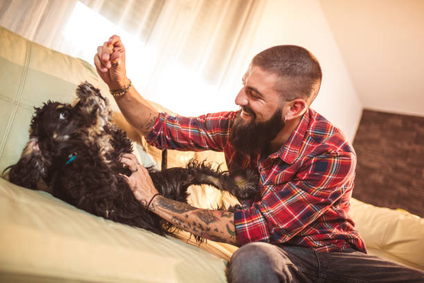 istock Handsome man with cute dog at home 1049204620