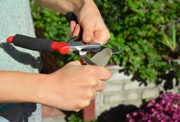 istock Sharpen pruning shears for the perfect cut. Cleaning and sharpening garden tools. 1049214320