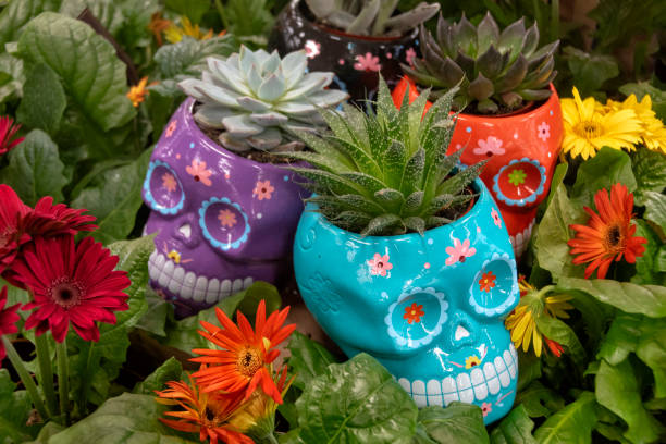 Colorful Skull Planters With Suculents And Flowers Stock Photo - Download  Image Now - Flower Pot, Skull, Potted Plant - iStock