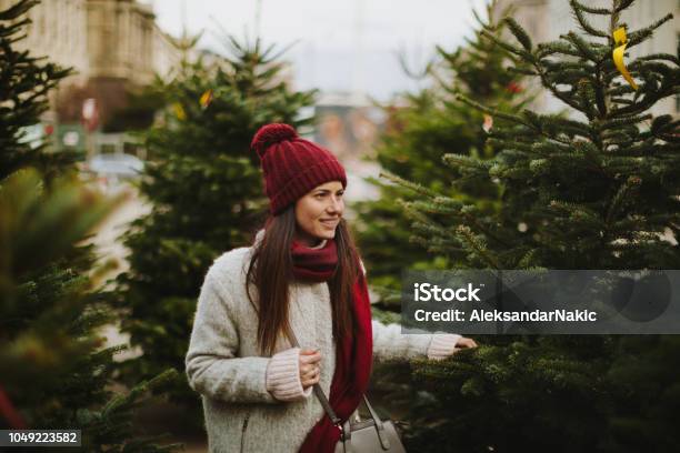 Een Kerstboom Kiezen Stockfoto en meer beelden van Kerstboom - Kerstboom, Kerstmis, Kopen