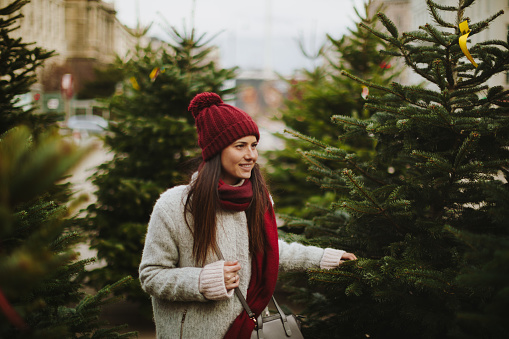 Young woman is choosing her Christmas tree at Christmas market