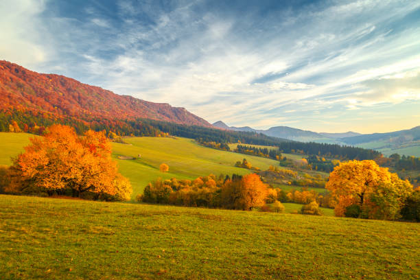 istock Landscape with a trees in autumn colors. 1049223654