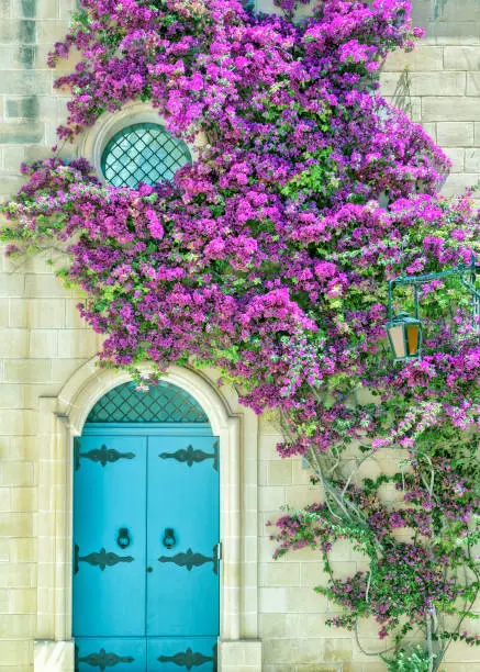 A blue door and purple floers in Mdina, Malta.