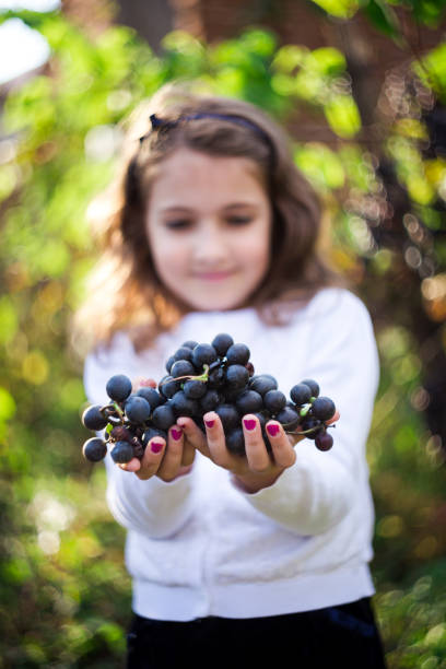 istock Happy Little Girl Outdoors in Nature 1049245676