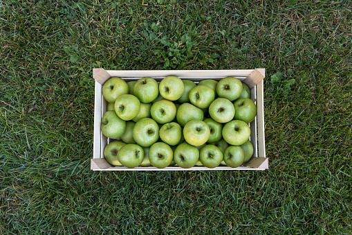 Granny Smith green apples in a wooden farmers market crate