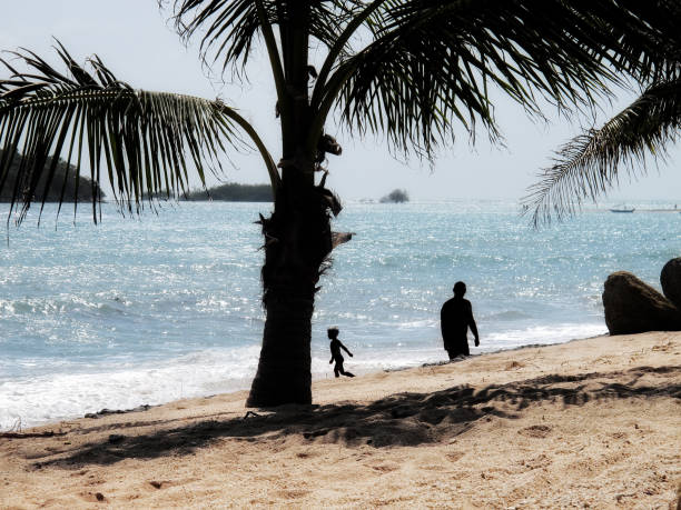 istock Silhouetted people on tropical island sandy beach with palm tree 1049251984