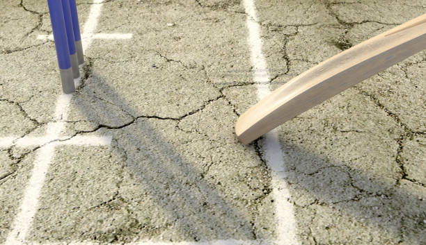 istock Cricket Wickets And Pitch 1049254648