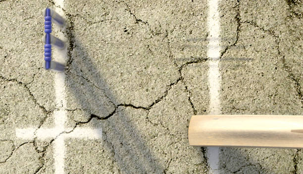 Cricket Wickets And Pitch