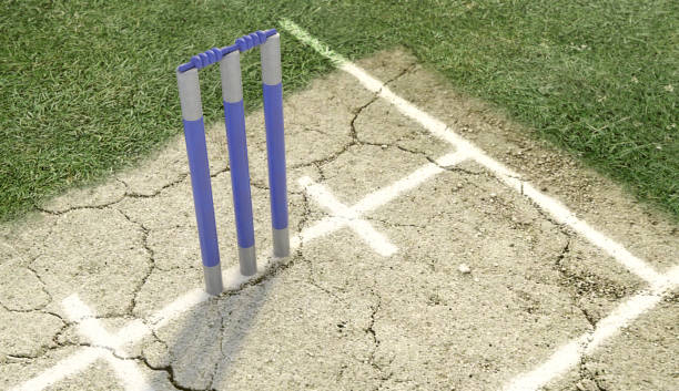istock Cricket Wickets And Pitch 1049254720