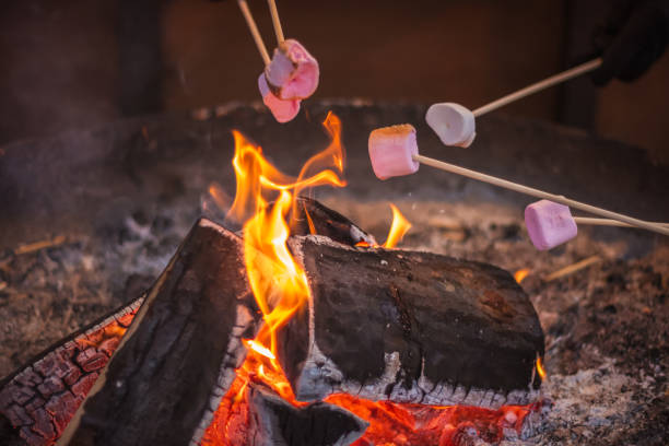 toasten ein marshmallow über einer offenen flamme am weihnachten markt winter wonderland in london - outdoor fire fotos stock-fotos und bilder