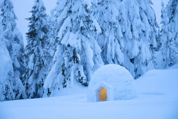 istock Snow igloo in the winter mountain forest 1049265720