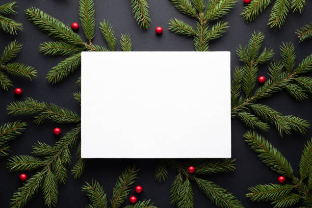 istock Christmas background with fir branches and holly berries 1049269998