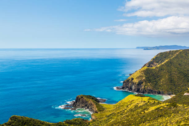 istock New Zealand Coastline 1049281284