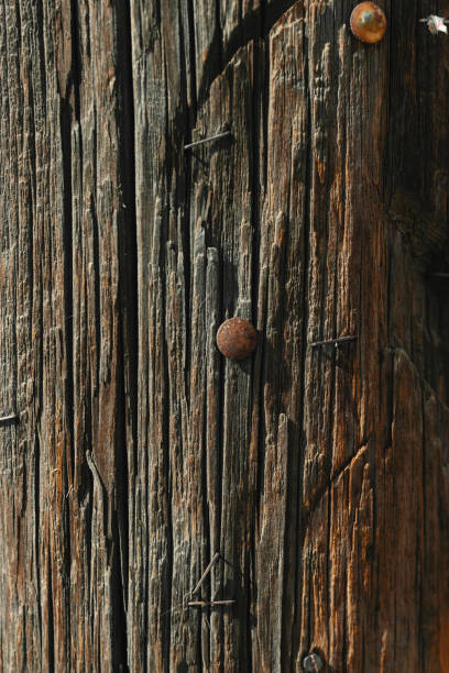 primo-up di chiodi arrugginiti e graffette sul vecchio palo del telegrafo di legno - rusty textured textured effect staple foto e immagini stock