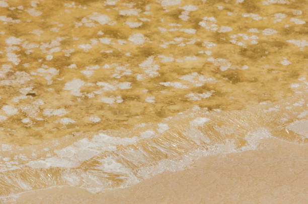istock The texture of the salt marshes. 1049282070