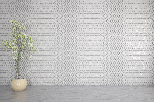 Empty white honeycomb wall with plant