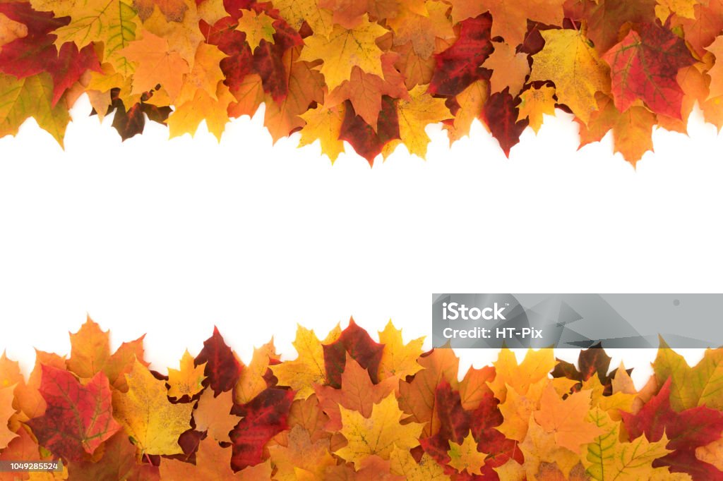 Bunte Rahmen aus der gefallenen Ahorn Herbst Blätter auf weißem Hintergrund - Lizenzfrei Herbst Stock-Foto