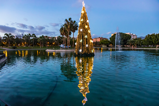 Close-up illuminated decorated New Year tree reflected in the water. Huelin Park, Malaga city, Andalusia, Spain