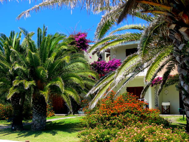 Apartment with flowers and palm trees in the Mediterranean garden polarizing filter and lens hood, ornamental garden palm tree bush flower stock pictures, royalty-free photos & images