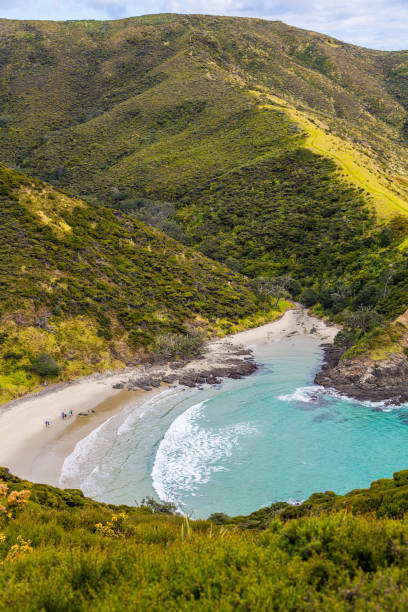 istock New Zealand Coastline 1049291968