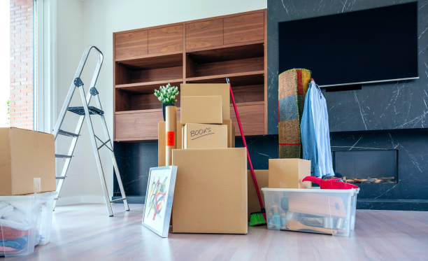 istock Living room with moving boxes 1049292624