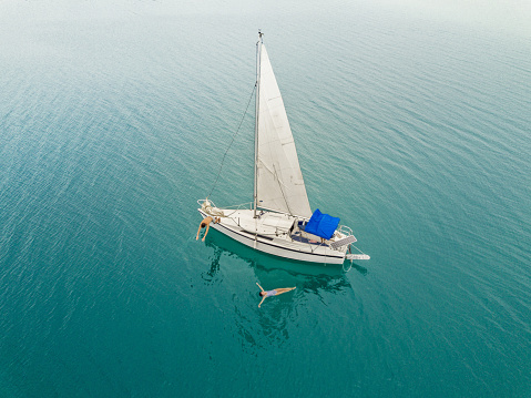 Aerial view of boat