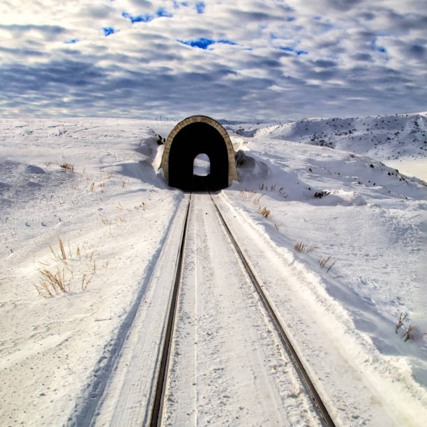 istock Snowy railway landscape. Cloudy weather.A small train tunnel 1049295974